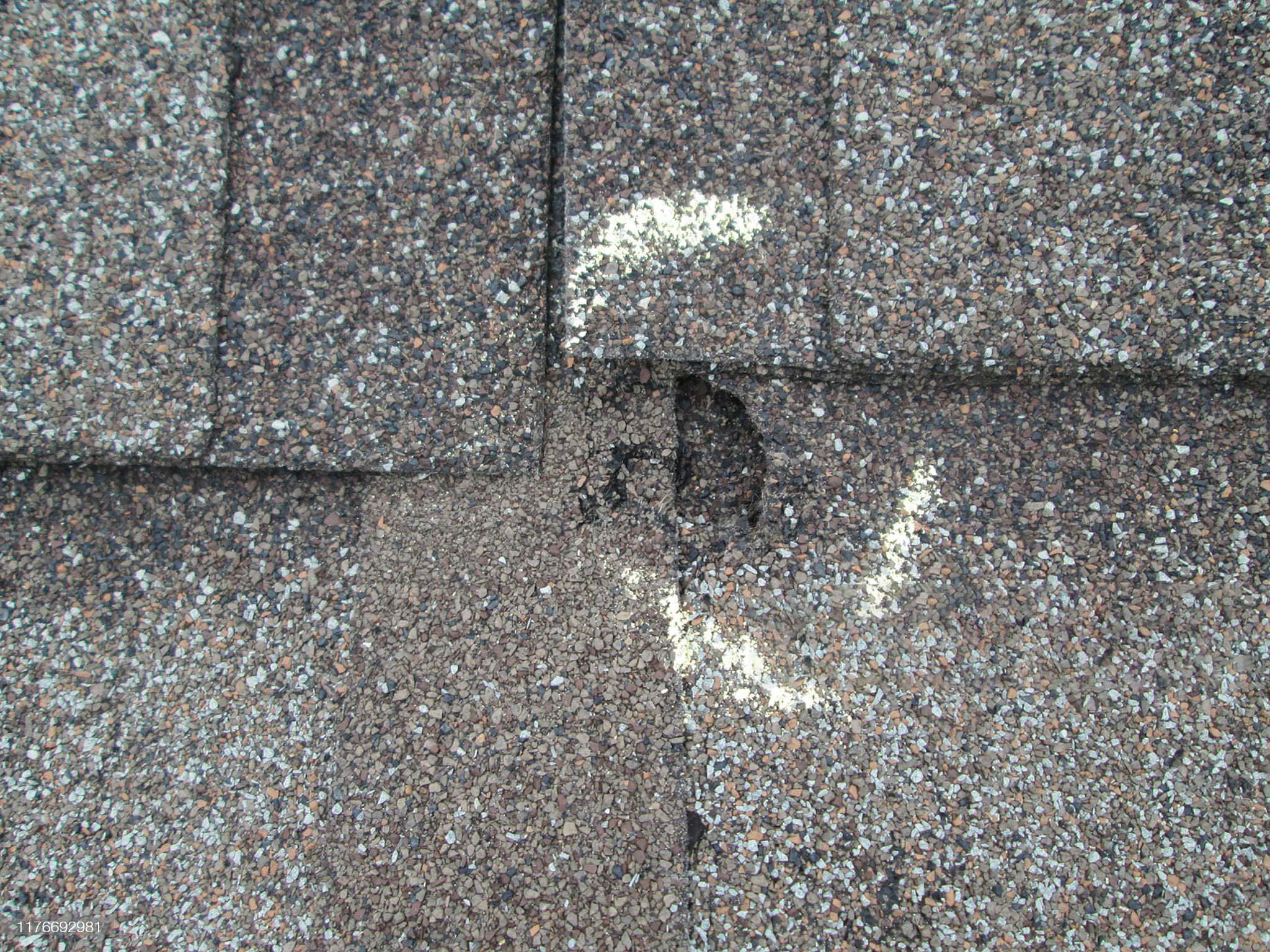 Hail Marks | Roofing Services