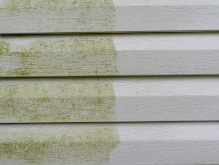 Stained Siding | Patio Covers